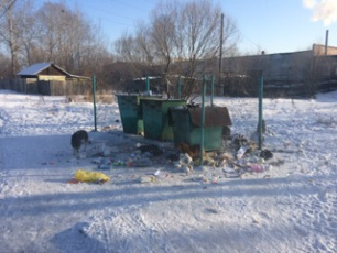 Проведена проверка исполнения ООО «ЖЭУ» обязательств по сбору и вывозу твердых коммунальных отходов на территории города Завитинска