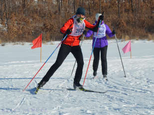 Всероссийская массовая лыжная гонка  «Лыжня России -2020»  прошла в Завитинском районе