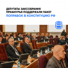 Ряд поправок в Конституцию РФ обсудили на внеочередном заседании амурского Заксобрания